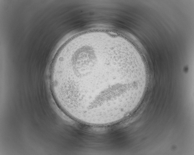 X0000116821243201001291615