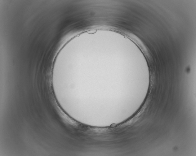 X0000116821244201001291615