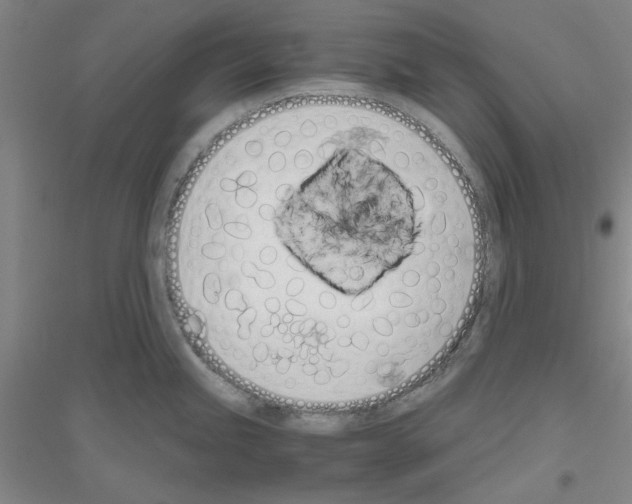 X0000116821245201001291615