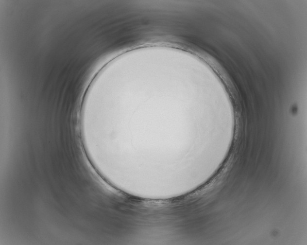 X0000116821246201001291615