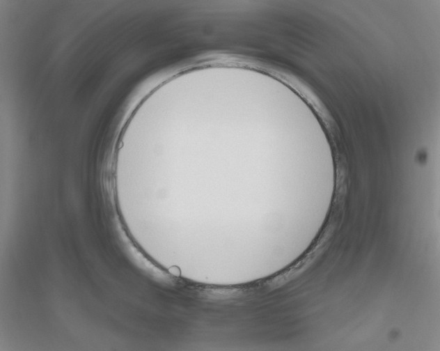 X0000116821247201001291615