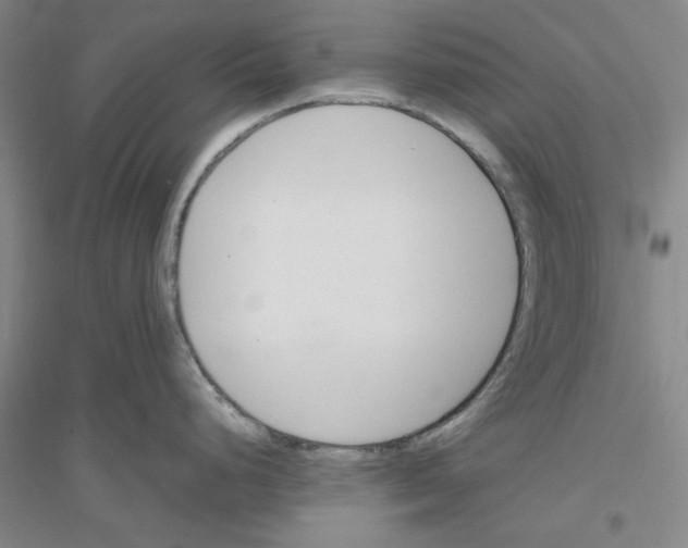 X0000116821248201001291615