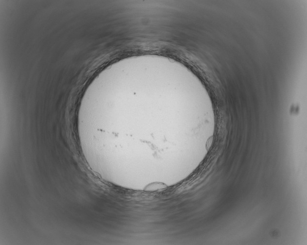 X0000116821249201001291615