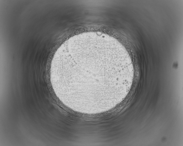 X0000116821252201001291615