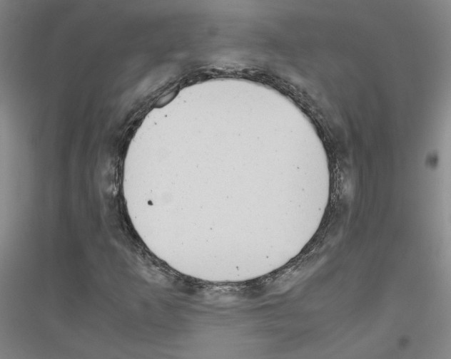 X0000116821253201001291615