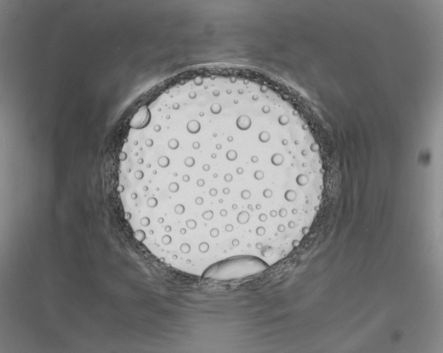 X0000116821255201001291615