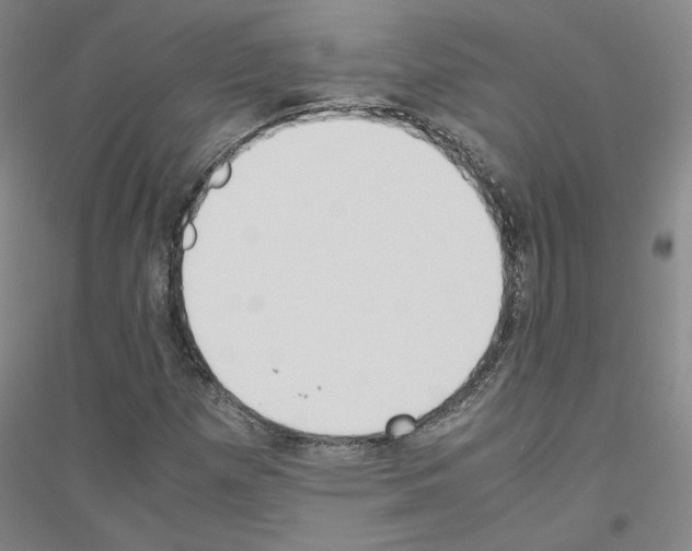 X0000116821257201001291615