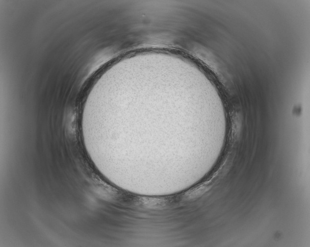 X0000116821258201001291615