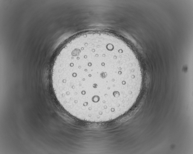 X0000116821259201001291615