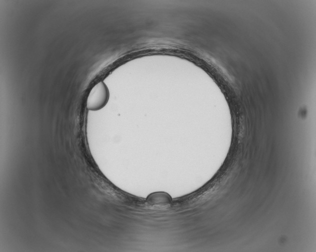 X0000116821261201001291615