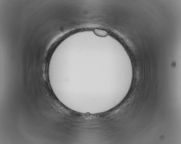 X0000116821262201001291615