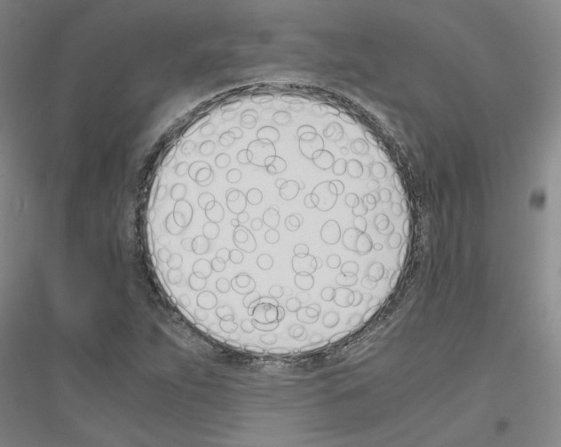 X0000116821263201001291615