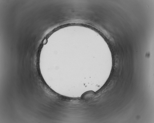 X0000116821264201001291615