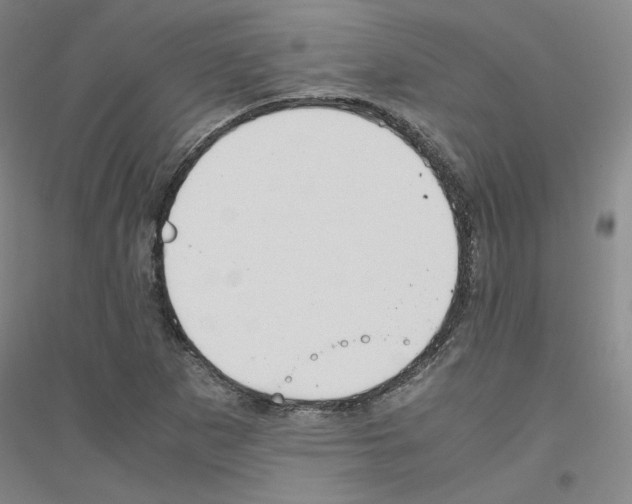 X0000116821265201001291615