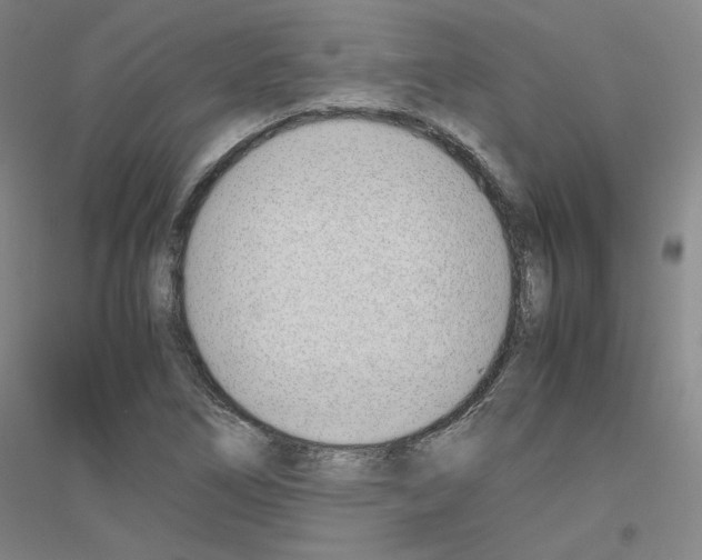 X0000116821266201001291615