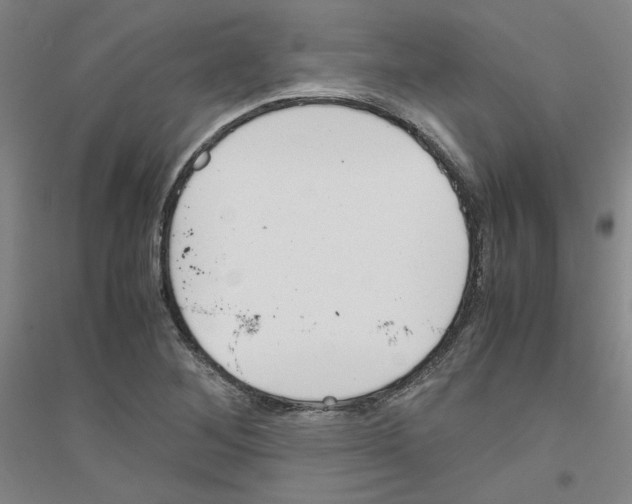 X0000116821268201001291615