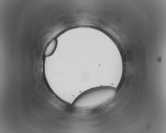 X0000116821269201001291614