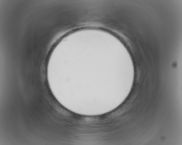 X0000116821271201001291614