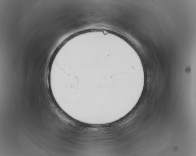 X0000116821272201001291614