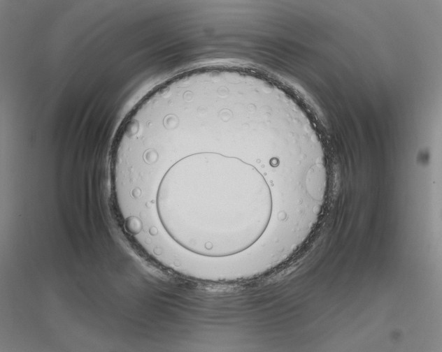 X0000116821274201001291614