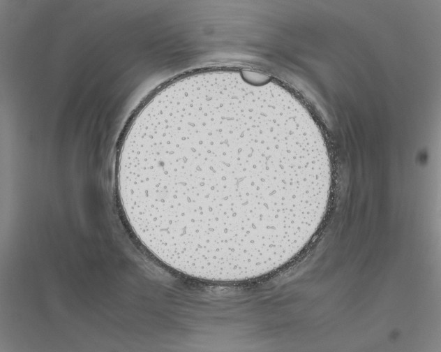 X0000116821275201001291614