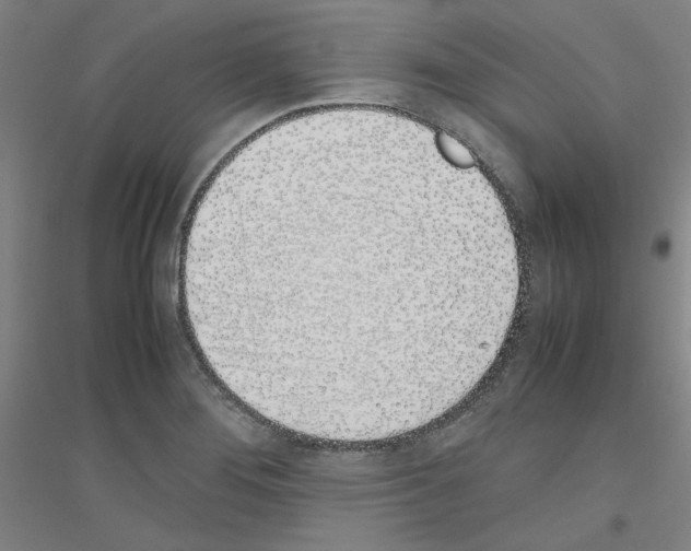 X0000116821276201001291614