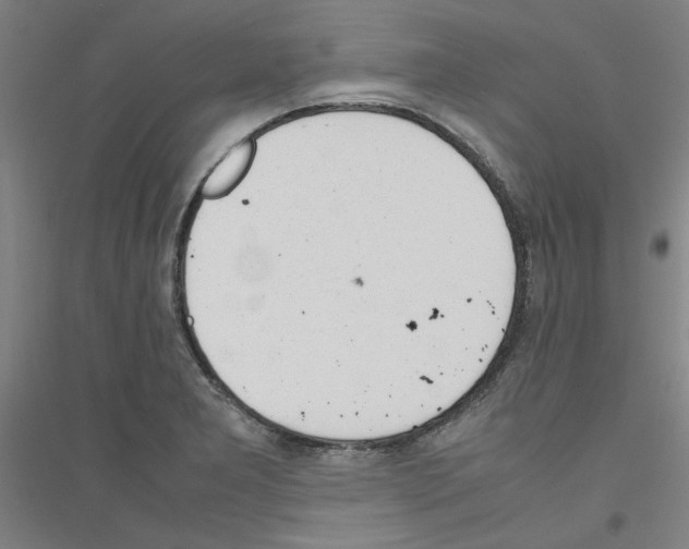 X0000116821277201001291614