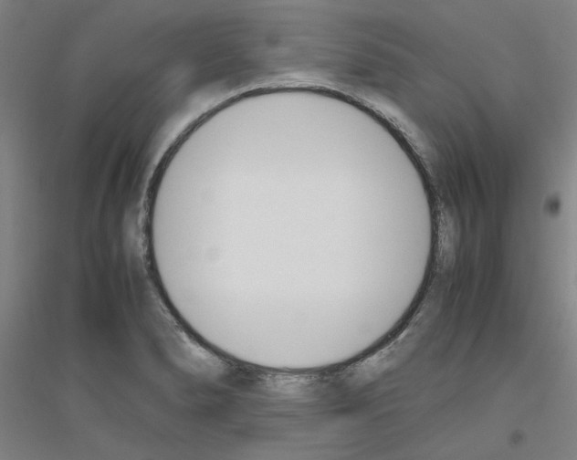 X0000116821278201001291614