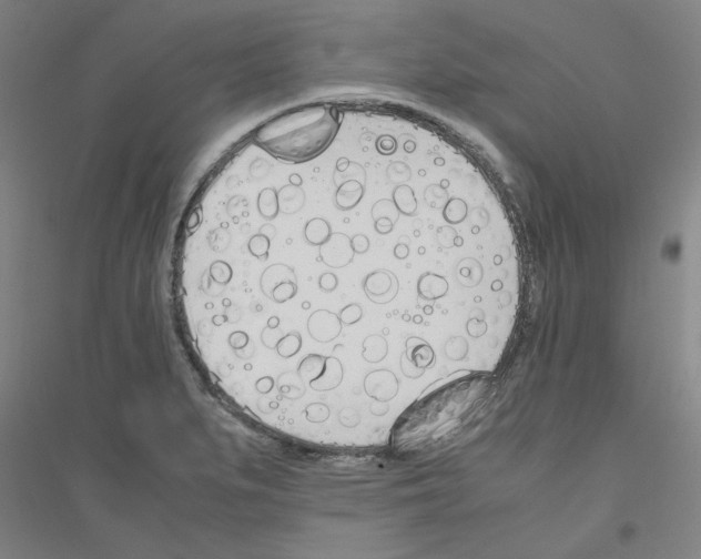 X0000116821279201001291614