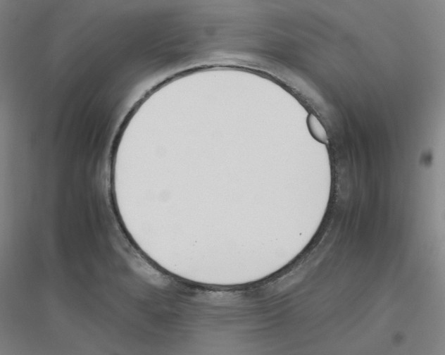 X0000116821280201001291614