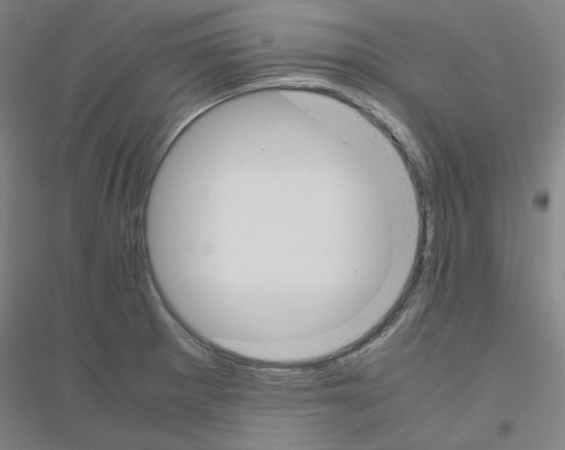 X0000116821281201001291614