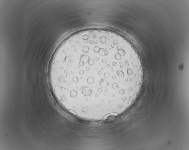 X0000116821283201001291614