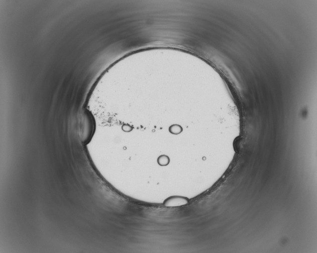 X0000116821284201001291614