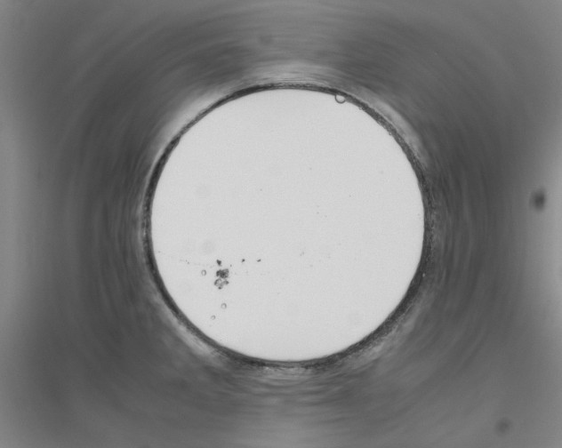 X0000116821285201001291614