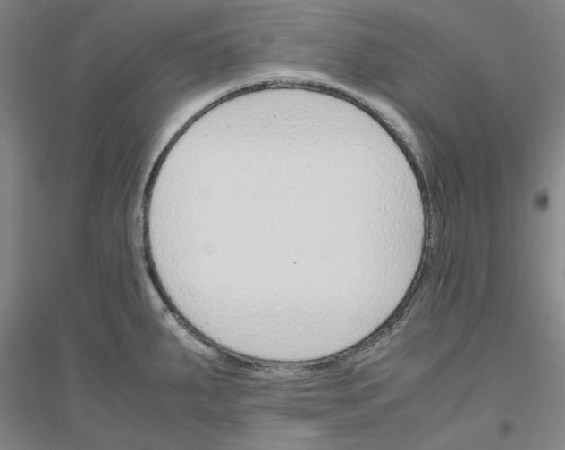 X0000116821287201001291614