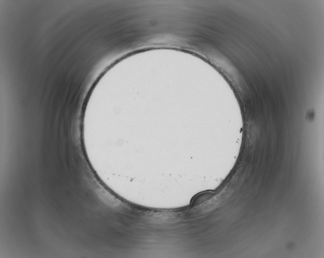 X0000116821288201001291614