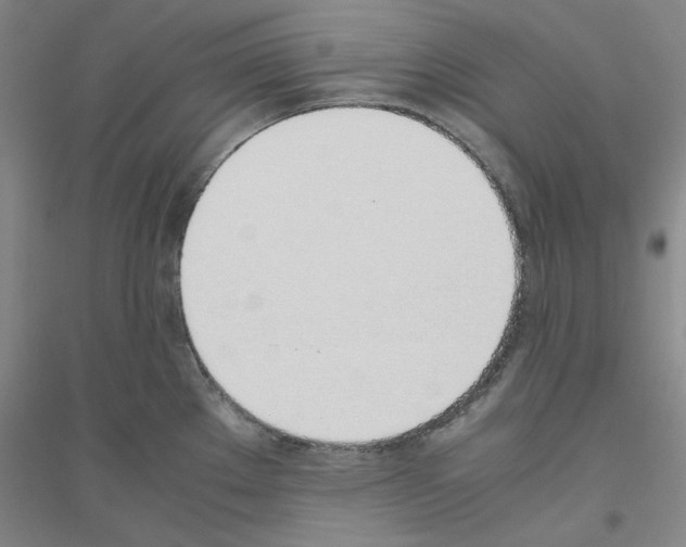 X0000116821289201001291614