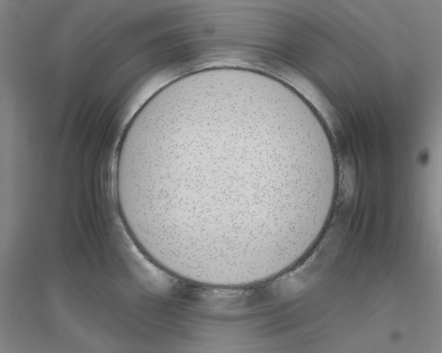 X0000116821290201001291614