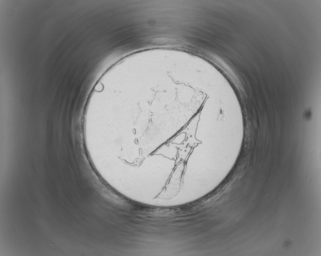 X0000116821291201001291614