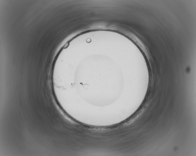 X0000116821293201001291614