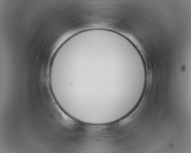 X0000116821294201001291614