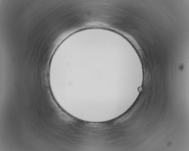 X0000116821295201001291614