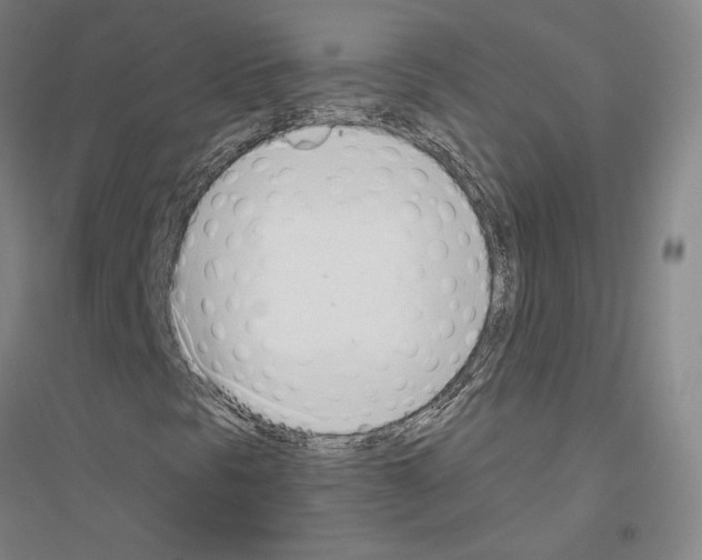 X0000116821297201001291613