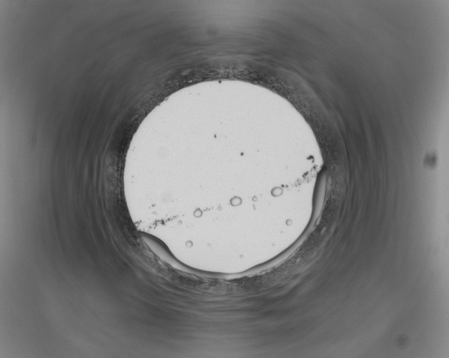 X0000116821298201001291613