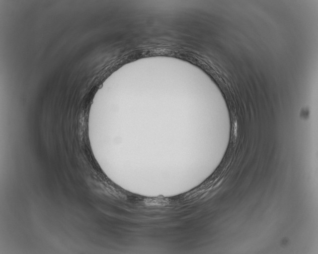 X0000116821299201001291614