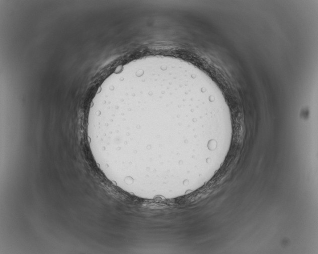 X0000116821301201001291614