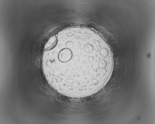 X0000116821302201001291614