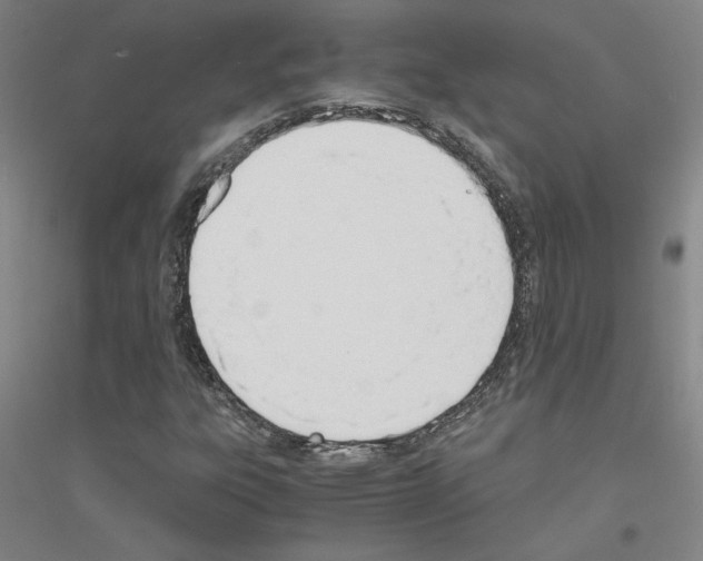 X0000116821303201001291614