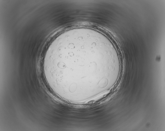 X0000116821305201001291614