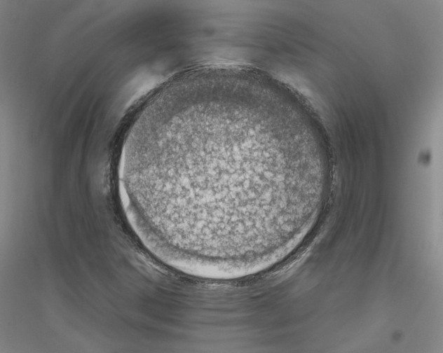 X0000116821306201001291614